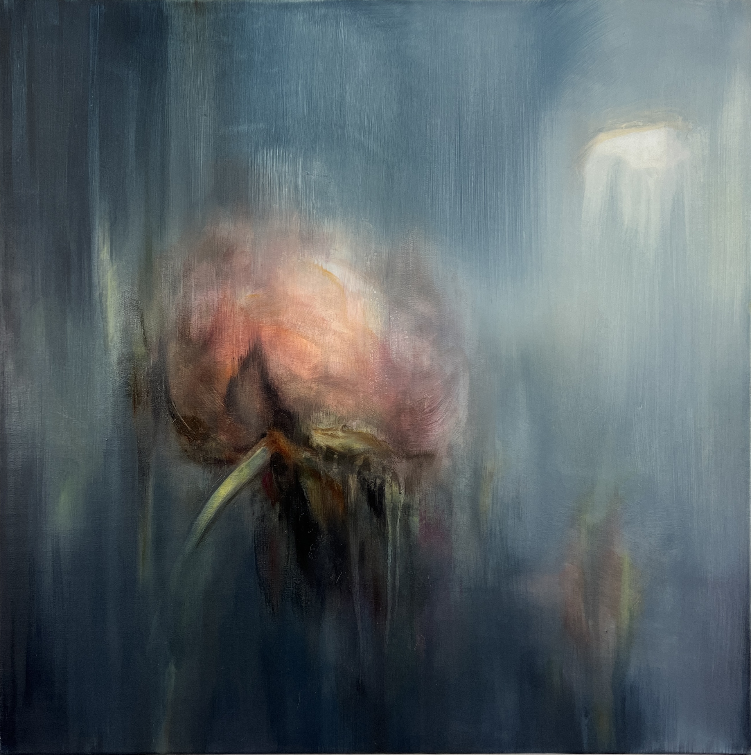 Longevity and Joy II